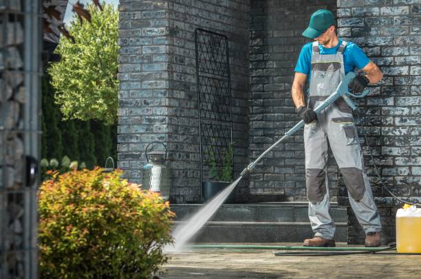 Best Soft Washing  in Plumas Lake, CA